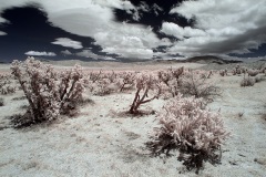 INFRARED_ANZA_BORREGO_MAY26_2019_695-66_FINAL_10