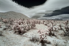 INFRARED_ANZA_BORREGO_MAY26_2019_695-69_FINAL_10