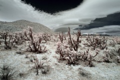 INFRARED_ANZA_BORREGO_MAY26_2019_695-71_FINAL_10