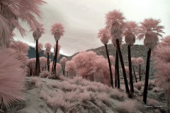 INFRARED_ANZA_BORREGO_MAY26_2019_695-90_FINAL_10