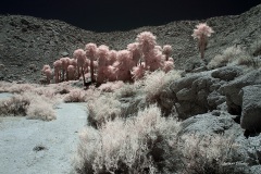 INFRARED_ANZA_BORREGO_MAY27_2019_695-194_FINAL_10