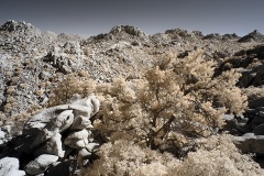 INFRARED_ANZA_BORREGO_NOV_17_695-10_FINAL_06