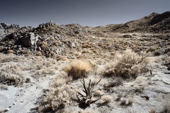 INFRARED_ANZA_BORREGO_NOV_17_695-16_FINAL_06