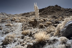 INFRARED_ANZA_BORREGO_NOV_17_695-22_FINAL_06