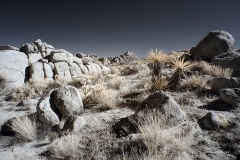 INFRARED_ANZA_BORREGO_NOV_17_695-31_FINAL_06