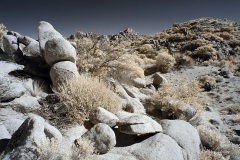 INFRARED_ANZA_BORREGO_NOV_17_695-34_FINAL_06