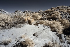 INFRARED_ANZA_BORREGO_NOV_17_695-35_FINAL_06