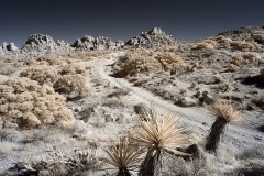 INFRARED_ANZA_BORREGO_NOV_17_695-44_FINAL_06