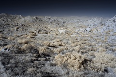 INFRARED_ANZA_BORREGO_NOV_17_695-48_FINAL_06