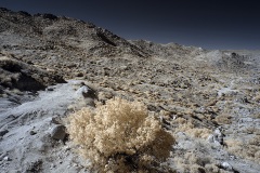 INFRARED_ANZA_BORREGO_NOV_17_695-52_FINAL_06