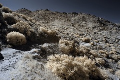 INFRARED_ANZA_BORREGO_NOV_17_695-50_FINAL_06