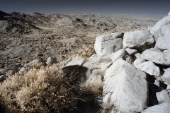 INFRARED_ANZA_BORREGO_NOV_17_695-80_FINAL_06