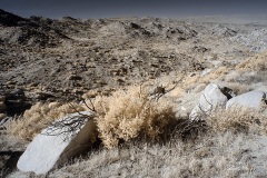 INFRARED_ANZA_BORREGO_NOV_17_695-87_FINAL_06