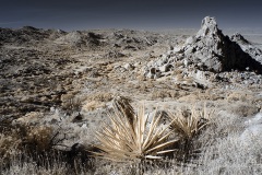 INFRARED_ANZA_BORREGO_NOV_17_695-93_FINAL_06