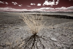 INFRARED_ANZA_BORREGO_FEB09_2019_720-18_FINAL_01