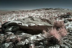 INFRARED_ANZA_BORREGO_JAB_02_2019-1_FINAL_01