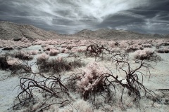 INFRARED_ANZA_BORREGO_MAY04_2019_695-101_FINAL_10