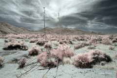 INFRARED_ANZA_BORREGO_MAY04_2019_695-108_FINAL_10