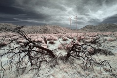 INFRARED_ANZA_BORREGO_MAY04_2019_695-84_FINAL_10