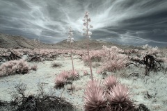 INFRARED_ANZA_BORREGO_MAY04_2019_695-91_FINAL_10