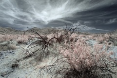 INFRARED_ANZA_BORREGO_MAY04_2019_695-96_FINAL_10