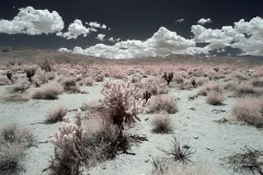 INFRARED_ANZA_BORREGO_MAY12_2019_695-17_FINAL_10