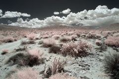 INFRARED_ANZA_BORREGO_MAY12_2019_695-23_FINAL_10