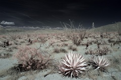 INFRARED_ANZA_BORREGO_MAY12_2019_695-37_FINAL_10