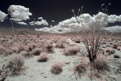 INFRARED_ANZA_BORREGO_MAY12_2019_695-42_FINAL_10