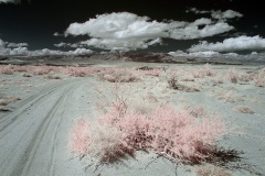 INFRARED_ANZA_BORREGO_MAY19_2019_695-103_FINAL_10