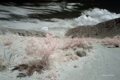 INFRARED_ANZA_BORREGO_MAY19_2019_695-110_FINAL_10