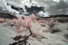 INFRARED_ANZA_BORREGO_MAY19_2019_695-118_FINAL_10