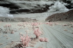 INFRARED_ANZA_BORREGO_MAY19_2019_695-133_FINAL_10