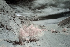 INFRARED_ANZA_BORREGO_MAY19_2019_695-138_FINAL_10