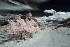 INFRARED_ANZA_BORREGO_MAY19_2019_695-150_FINAL_10