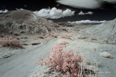 INFRARED_ANZA_BORREGO_MAY19_2019_695-158_FINAL_10