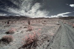 INFRARED_ANZA_BORREGO_MAY19_2019_695-171_FINAL_10