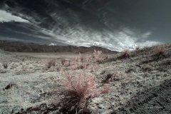 INFRARED_ANZA_BORREGO_MAY19_2019_695-179_FINAL_10