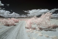 INFRARED_ANZA_BORREGO_MAY19_2019_695-94_FINAL_10