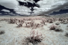 INFRARED_ANZA_BORREGO_MAY26_2019_695-64_FINAL_10