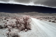 INFRARED_ANZA_BORREGO_MAY26_2019_695-72_FINAL_10