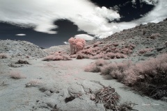 INFRARED_ANZA_BORREGO_MAY26_2019_695-86_FINAL_10