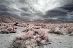 INFRARED_ANZA_BORREGO_MAY04_2019_695-116_FINAL_10