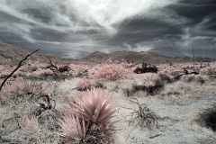 INFRARED_ANZA_BORREGO_MAY04_2019_695-122_FINAL_10