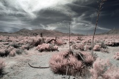 INFRARED_ANZA_BORREGO_MAY04_2019_695-127_FINAL_10