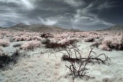 INFRARED_ANZA_BORREGO_MAY04_2019_695-133_FINAL_10