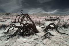 INFRARED_ANZA_BORREGO_MAY04_2019_695-44_FINAL_10