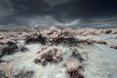 INFRARED_ANZA_BORREGO_MAY04_2019_695-50_FINAL_10