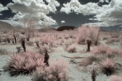 INFRARED_ANZA_BORREGO_MAY12_2019_695-106_FINAL_10