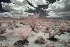 INFRARED_ANZA_BORREGO_MAY12_2019_695-117_FINAL_10